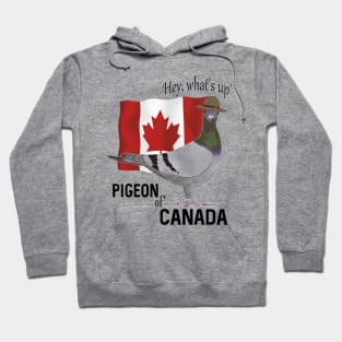 Pigeon of Canada Greeting Hoodie